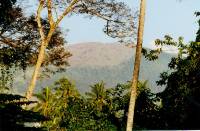 Pinnawale 1 